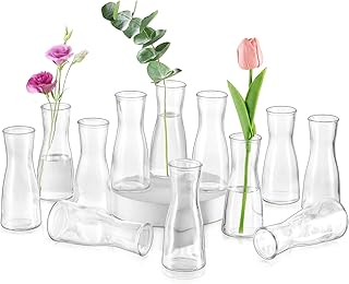 Glasseam Kleine Glasvasen für Tischdeko, Klar Flower Vase Klein 12 Stück Blumenvasen Modern, Mi…