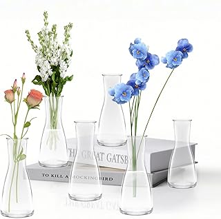 Kleine Vasen, 6 Stück Glas Vasen Klein Tischdeko für Hochzeitsdeko, Kleine Glasvasen Flower Gla…