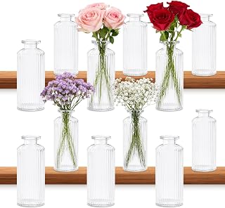 12 Stück Kleine Glasvasen Set Transparent Mini Blumenvasen | Transparent Blumenvasen mit Gepräg…