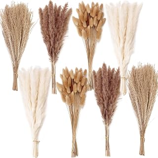 200PCS Trockenblumenstrauß mit Pampasgras – Boho Deko für Zuhause, Hochzeit & Tischdekoration…